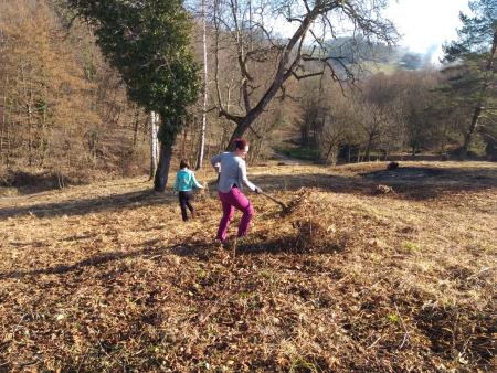 Delovna akcija Soncki 8